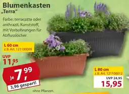 Sonderpreis Baumarkt Blumenkasten „Terra" Angebot