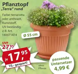 Sonderpreis Baumarkt Pflanztopf ,,Terra" rund Angebot