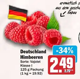 HIT Deutschland Himbeeren Angebot