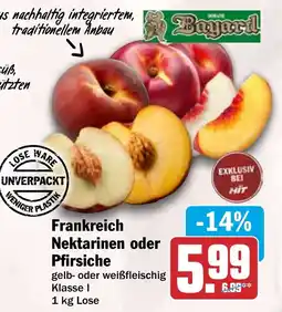 HIT Frankreich Nektarinen oder Pfirsiche Angebot