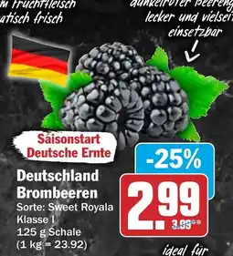 HIT Deutschland Brombeeren Angebot