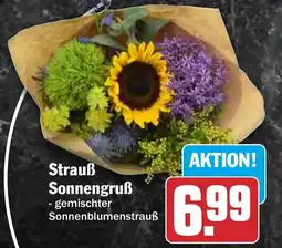 HIT Strauß Sonnengruß Angebot