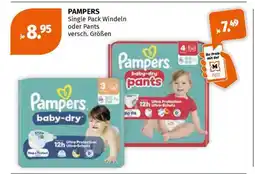 Müller Pampers Angebot
