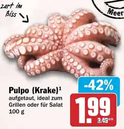 HIT Pulpo Angebot
