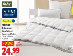 Lidl FJÖDUR 3-Kammer Kopfkissen Angebot