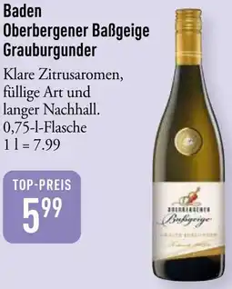 Galeria Markthalle Baden Oberbergener Baẞgeige Grauburgunder Angebot