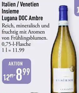 Galeria Markthalle Italien / Venetien Insieme Lugana DOC Ambre Angebot