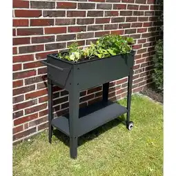 Netto Marken-Discount Garden Pleasure Mobiles Hochbeet Metall versch. Ausführungen Angebot
