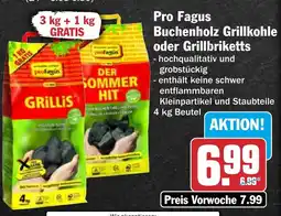 HIT Pro Fagus Buchenholz Grillkohle oder Grillbriketts Angebot