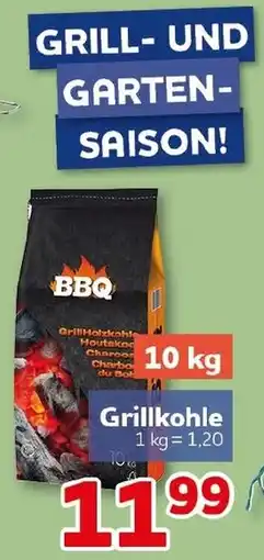 CENTERSHOP Grillkohle Angebot