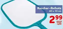 CENTERSHOP Bestway Kescher-Aufsatz Angebot