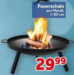 CENTERSHOP Feuerschale Angebot