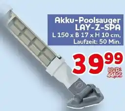 CENTERSHOP Bestway Akku-Poolsauger LAY-Z-SPA Angebot