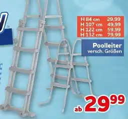 CENTERSHOP Bestway Poolleiter Angebot