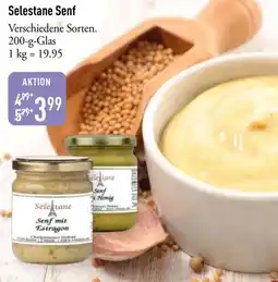 Galeria Markthalle Selestane Senf Angebot