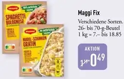 Galeria Markthalle Maggi Fix Angebot
