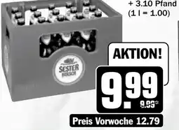 HIT Sester Kölsch Angebot