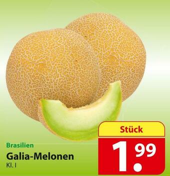 Famila Nord Ost Galia-melonen Angebot