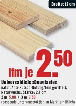 B1 Discount Baumarkt Universaldiele Douglasie Angebot