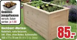 B1 Discount Baumarkt Hochbeet Marina Angebot