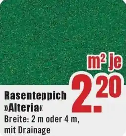 B1 Discount Baumarkt Rasenteppich Alteria Angebot