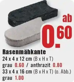 B1 Discount Baumarkt Rasenmähkante Angebot
