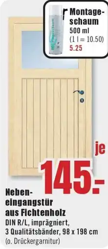 B1 Discount Baumarkt Nebeneingangstür aus Fichtenholz Angebot