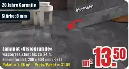 B1 Discount Baumarkt Laminat Visiogrande Angebot