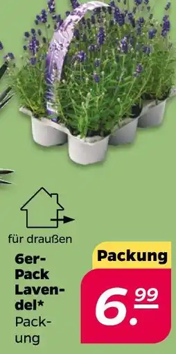 Netto Lavendel Angebot