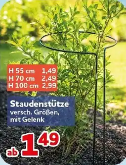 CENTERSHOP Staudenstütze Angebot