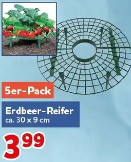 CENTERSHOP Erdbeer-Reifer Angebot