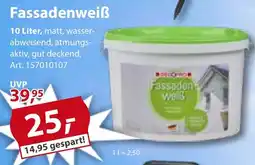 Sonderpreis Baumarkt DECOPRO Fassadenweiß Angebot