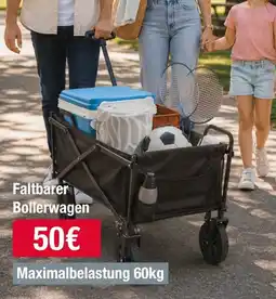 Woolworth Faltbarer Bollerwagen Angebot