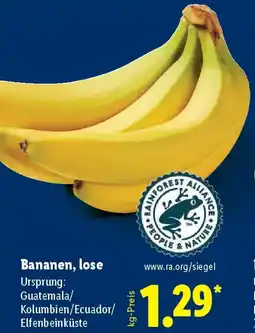 Lidl Bananen, lose Angebot