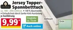 Norma DREAMTEX Jersey Topper- Spannbetttuch Angebot