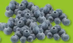 Marktkauf Edeka Bio Bio-Kulturheidelbeeren Angebot