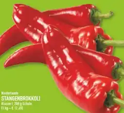 Marktkauf Bio-Spitzpaprika Rot Angebot