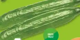 Marktkauf Bio-Salatgurken Angebot