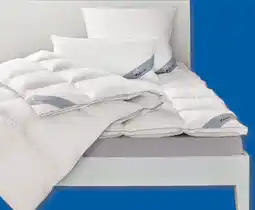 Lidl BALETTE 3-Kammer-Kopfkissen Angebot