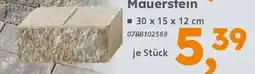 Globus Baumarkt Mauerstein Angebot