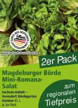 Norma Magdeburger Börde Mini-Romana Salat Angebot