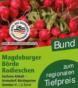 Norma Magdeburger Börde Radieschen Angebot