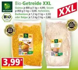 Norma BIO SONNE Bio-Getreide XXL Angebot