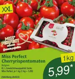 Norma Miss Perfect Cherryrispentomaten Angebot