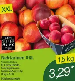 Norma Super Nivo Nektarinen XXL Angebot
