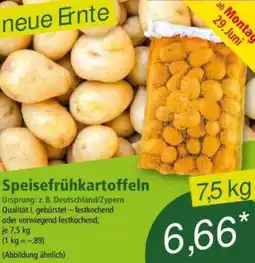 Norma Speisefrühkartoffeln Angebot