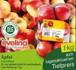 Norma Evelina Äpfel Angebot