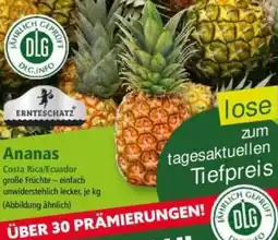 Norma Ananas Angebot