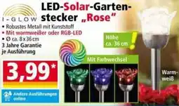 Norma I-GLOW LED-Solar-Gartenstecker ,,Rose" Angebot