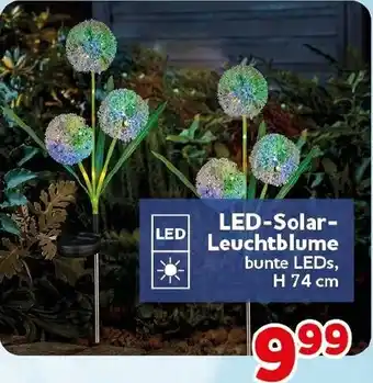 CENTERSHOP LED-Solar Leuchtblume Angebot